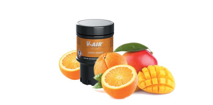 Ricarica v-air solid – fragranza Citrus Mango