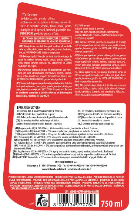 Detergente igienizzante Efficace Multigen 750 ml